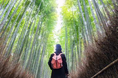 Arashiyama Bambu Korusu 'nda Seyahat Eden Genç Kadın, Mutlu Asyalı Tr.