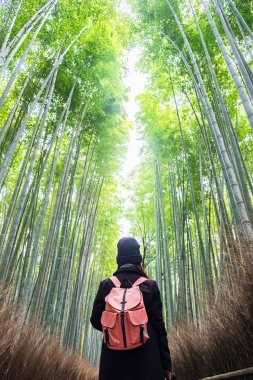 Arashiyama Bambu Korusu 'nda Seyahat Eden Genç Kadın, Mutlu Asyalı Tr.