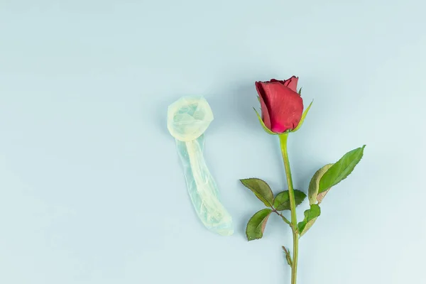 Piros rózsa virág és használt óvszer a kék háttér. Szerelem, Roman — Stock Fotó