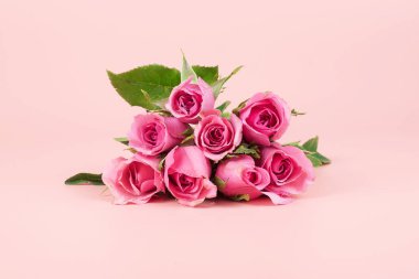 Pembe arka planda pembe gül çiçeği ve metin için kopyalama alanı. Dikkat.