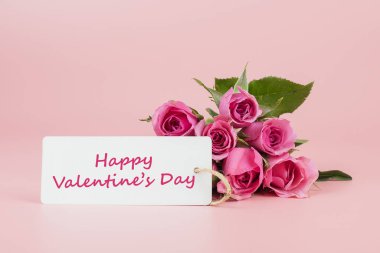 Pembe arka planda pembe gül çiçeği ve metin için kopyalama alanı. Dikkat.