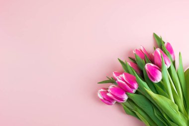 Mavi ahşap masa üzerinde fotokopi alanı olan pembe lale çiçeği. 
