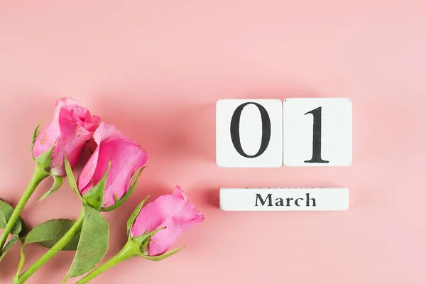 Rosa Rosa flor y calendario del 1 de marzo sobre fondo rosa con — Foto de Stock