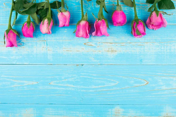 Rosa ros blomma på blå trä bord bakgrund med kopia utrymme f — Stockfoto