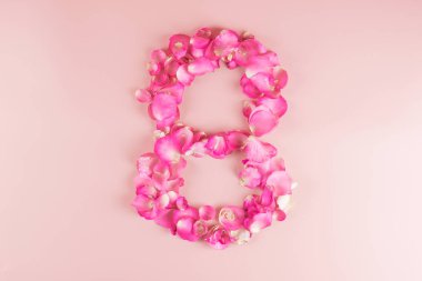 Pembe arkaplandaki Pembe Gül çiçeğinin 8. şekli