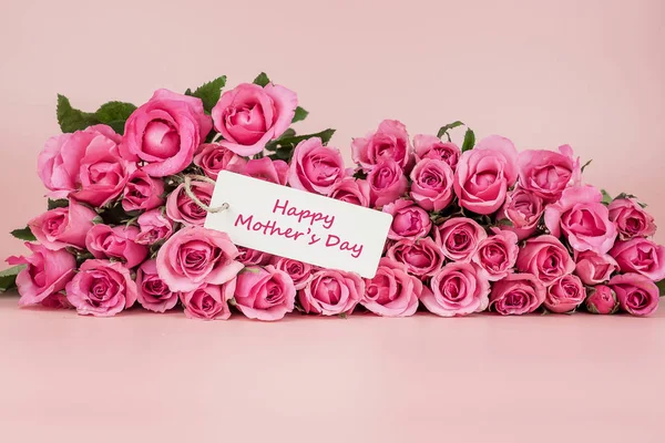 Rosa Rose Blume auf rosa Hintergrund mit Kopierraum für Text. lo — Stockfoto