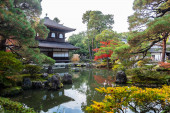 Картина, постер, плакат, фотообои "храм гинкакудзи или серебряный павильон в осенний сезон листвы, достопримечательности и известные туристическими достопримечательностями в киото, кансай, япония
", артикул 370405326