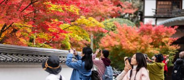 Bahçede renkli yapraklarla eğlenen turistler, sonbahar mevsiminde Eikando tapınağını ziyaret ediyor ve Kyoto 'daki turistik merkezleriyle tanınıyor. Kyoto, Kansai, Japonya, 25 Kasım 2019