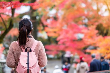 Bahçede renkli görünen mutlu kadın turist, Kyoto, Japonya 'yı ziyaret eden genç Asyalı gezgin ve sonbahar mevsiminde güzel doğanın tadını çıkarıyor. Tatil, gezi ve gezi konsepti