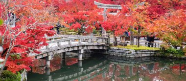Eikando Tapınağı 'nda renkli yapraklarla dolu bir gölet, sonbahar yeşillik mevsiminde güzel bir doğa bahçesi, Kyoto, Kansai, Japonya' da turistik yerleriyle ünlü bir yer.