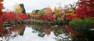 Eikando Tapınağı 'nda renkli yapraklarla dolu bir gölet, sonbahar yeşillik mevsiminde güzel bir doğa bahçesi, Kyoto, Kansai, Japonya' da turistik yerleriyle ünlü bir yer.