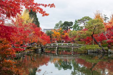 Eikando Tapınağı 'nda renkli yapraklarla dolu bir gölet, sonbahar yeşillik mevsiminde güzel bir doğa bahçesi, Kyoto, Kansai, Japonya' da turistik yerleriyle ünlü bir yer.