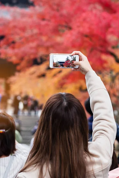 Jeune Femme Asiatique Prenant Des Feuilles Colorées Photo Par Téléphone — Photo