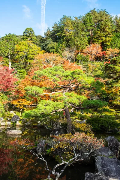 Landschap Prachtige Tuin Ginkakuji Tempel Het Zilveren Paviljoen Gebied Herfst — Stockfoto