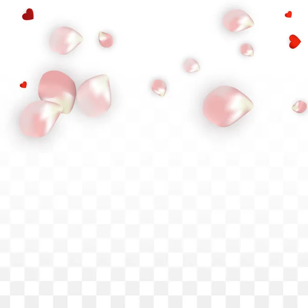 Confettis vectoriels réalistes de pétales et de coeurs. Rose volante et coeurs sur fond transparent. — Image vectorielle