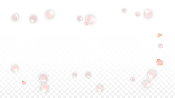 Vector realista pétalos y corazones Confetti. Flying Sakura and Hearts on Transparent Background (en inglés). Fondo de invitación de boda. Cartel del romance de primavera. Ilustración vectorial para el diseño del aniversario. — Archivo Imágenes Vectoriales
