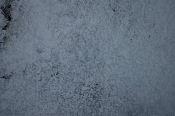 Geada branca fria no inverno. primeiras geadas, tempo frio, água congelada, geada — Fotografia de Stock