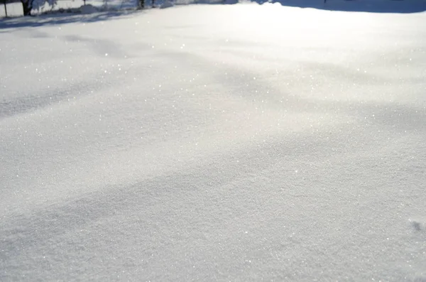 美しい冬の風景。霜や雪に覆われた木々 — ストック写真