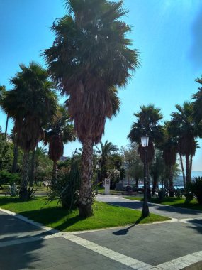 Güzel park palmiye ağaçları İtalya ile