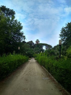 yeşil park palmiye ağaçları İtalya ile terk