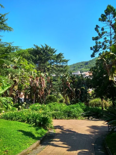 Prachtig park met palmbomen in Italië — Stockfoto