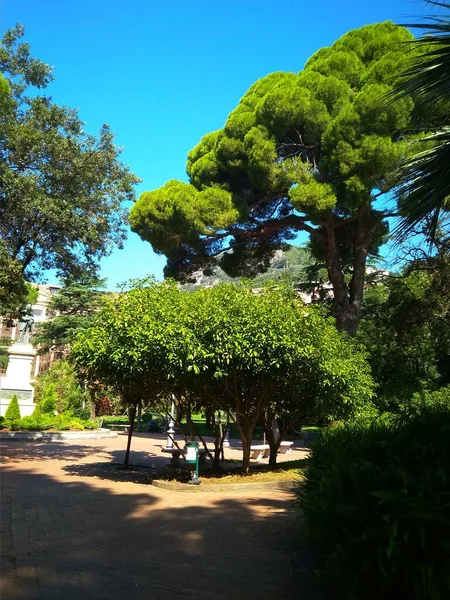 Prachtig park met palmbomen in Italië — Stockfoto