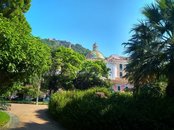 Прекрасний парк з пальмами в Італії — стокове фото