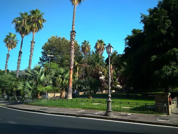 Passeio em um belo parque com palmeiras — Fotografia de Stock
