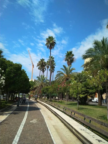 Passeio em um belo parque com palmeiras — Fotografia de Stock