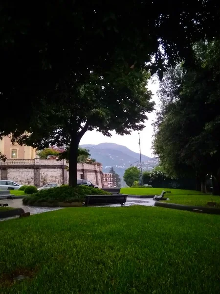 Όμορφο, καταπράσινο πάρκο με φοίνικες στην Ιταλία — Φωτογραφία Αρχείου