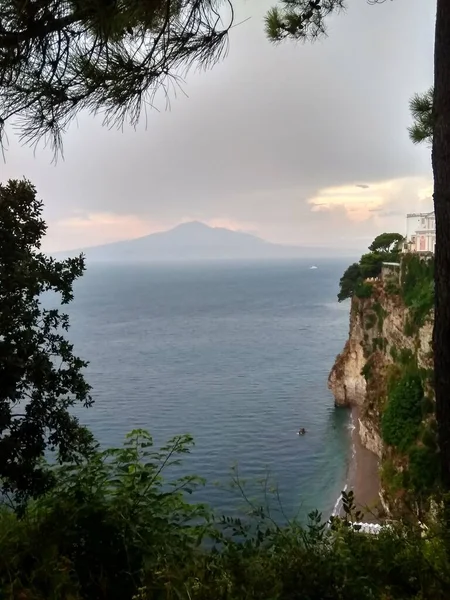 海の近くにイタリアの木がある美しい緑の公園 — ストック写真