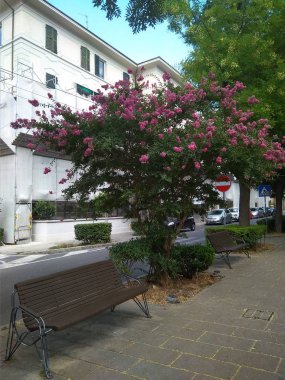 Marş bölgesindeki Ancona şehrinin panoramik görüntüsü