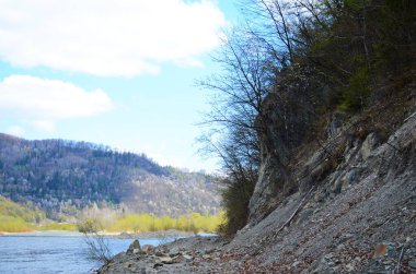 Karpat Dağları 'nda bahar. Bahar Karpatlar 'ın manzarası. Çiçek açan ağaçlarla dolu Bahar Dağı manzarası.