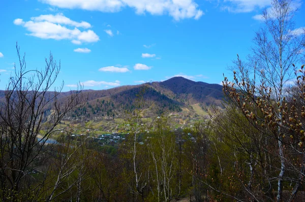 Spring Carpathian Mountains Landscape Spring Carpathians Spring Mountain Landscape Blooming — Stock Photo, Image