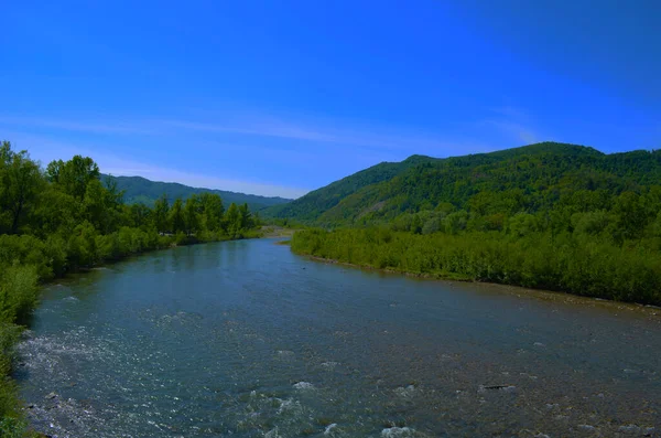 Uçurumlar arasındaki dağ nehri. Nehrin mavi berrak suyu.