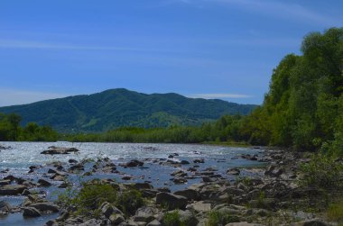 Uçurumlar arasındaki dağ nehri. Nehrin mavi berrak suyu.