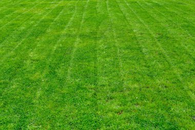 Yazın çizgili taze biçilmiş bahçe çimleri
