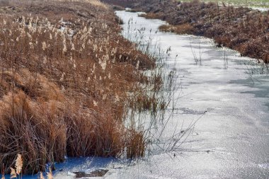 Bir kış sabahı Hollanda kırsalında küçük donmuş bir nehir..
