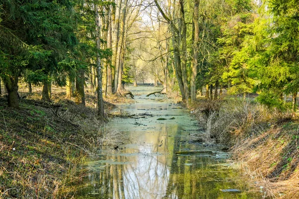 Park Wiosenny Krajobraz Tła Kanału Widok Kanał Parku Zanieczyszczony Różnymi — Zdjęcie stockowe