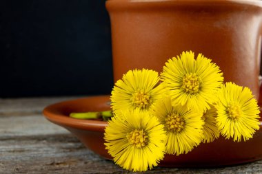 Çay fincanının üzerinde Coltsfoot çiçekleri olan bir fincan bitki çayı. Alternatif tıp konsepti.