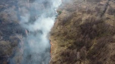 Tarlada kuru çimenler yanıyor. Dumanı tüten ateşin hava manzarası. Büyük duman bulutları ve ateş yayıldı. Orman ve tropikal orman tahribatı. Otlakların yok olması ve iklim değişikliği