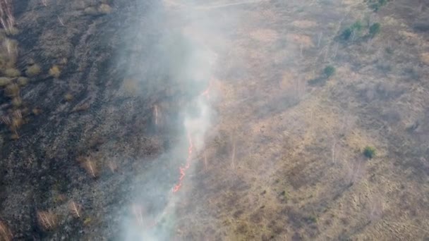 Herbe sèche brûlant dans le champ. Vue aérienne du feu de forêt fumant. Gros nuages de fumée et propagation du feu. Déforestation des forêts et de la jungle tropicale. Déforestation des prairies et changement climatique