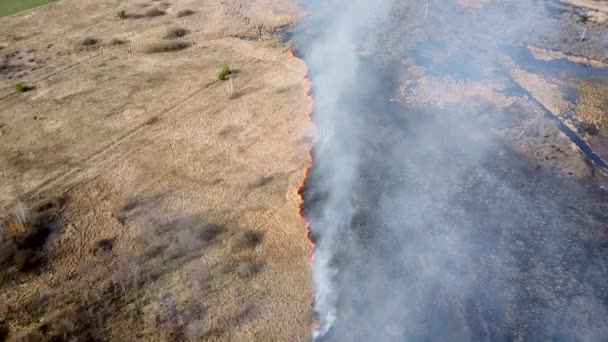 干草在田里燃烧 空中俯瞰着吸烟的野火 浓烟和大火四处蔓延 森林和热带丛林森林砍伐 草原森林砍伐和气候变化 — 图库视频影像