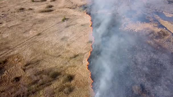 Dry Grass Burning Field Aerial View Smoking Wild Fire Large — Stock Video