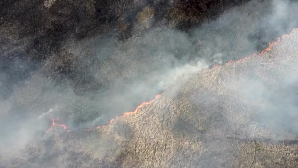 Herbe Sèche Brûlant Dans Champ Vue Aérienne Feu Forêt Fumant — Video