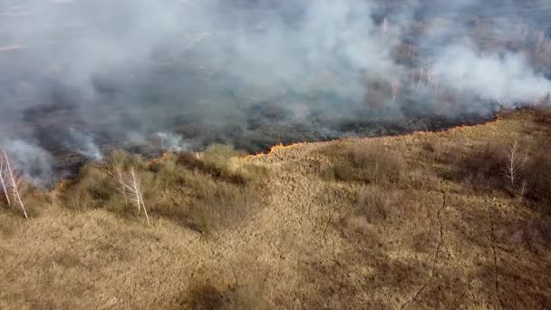 Herbe sèche brûlant dans le champ. Vue aérienne du feu de forêt fumant. Gros nuages de fumée et propagation du feu. Déforestation des forêts et de la jungle tropicale. Déforestation des prairies et changement climatique