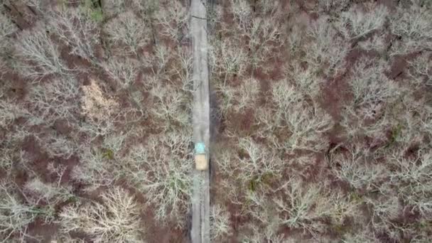 Aerial View Road Industrial Truck Riding Dirt Road — Stock Video