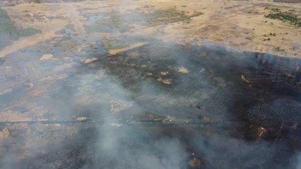 干草在田里燃烧 空中俯瞰着吸烟的野火 浓烟和大火四处蔓延 森林和热带丛林森林砍伐 草原森林砍伐和气候变化 — 图库视频影像