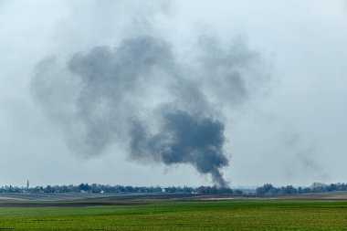 Ateş tarlada sakallı otları yakar. Ufukta büyük bir duman bulutu görünüyor..