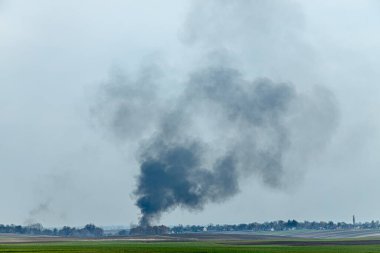 Ateş tarlada sakallı otları yakar. Ufukta büyük bir duman bulutu görünüyor..